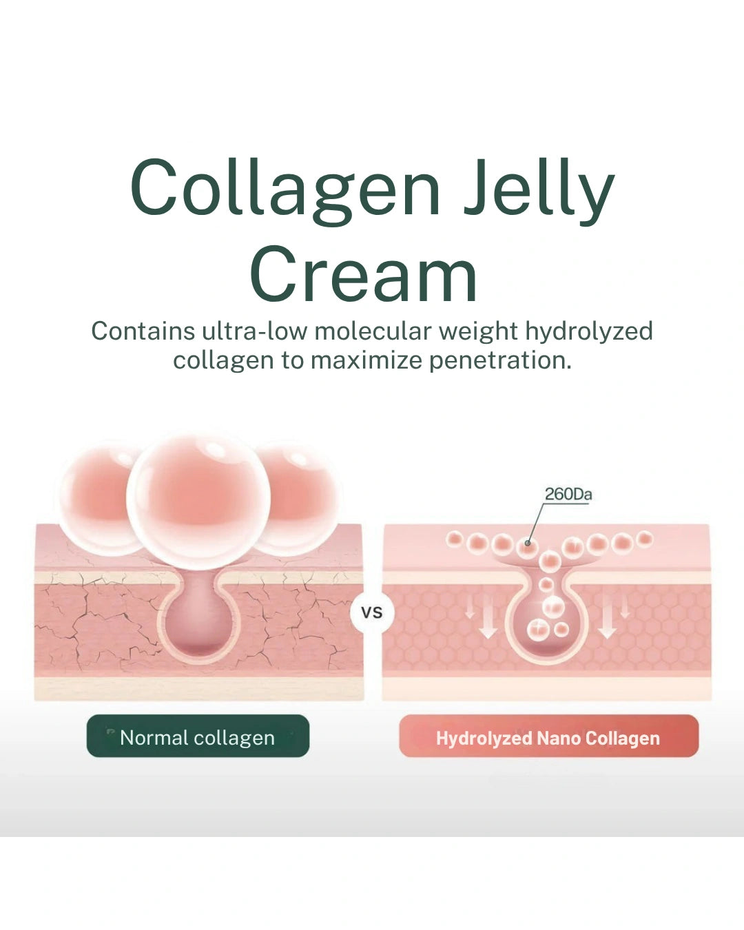 COLLAGEN JELLY CREME